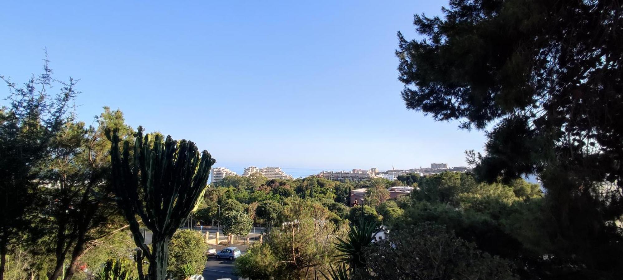 Aguila, Arroyo De La Miel, Benalmádena