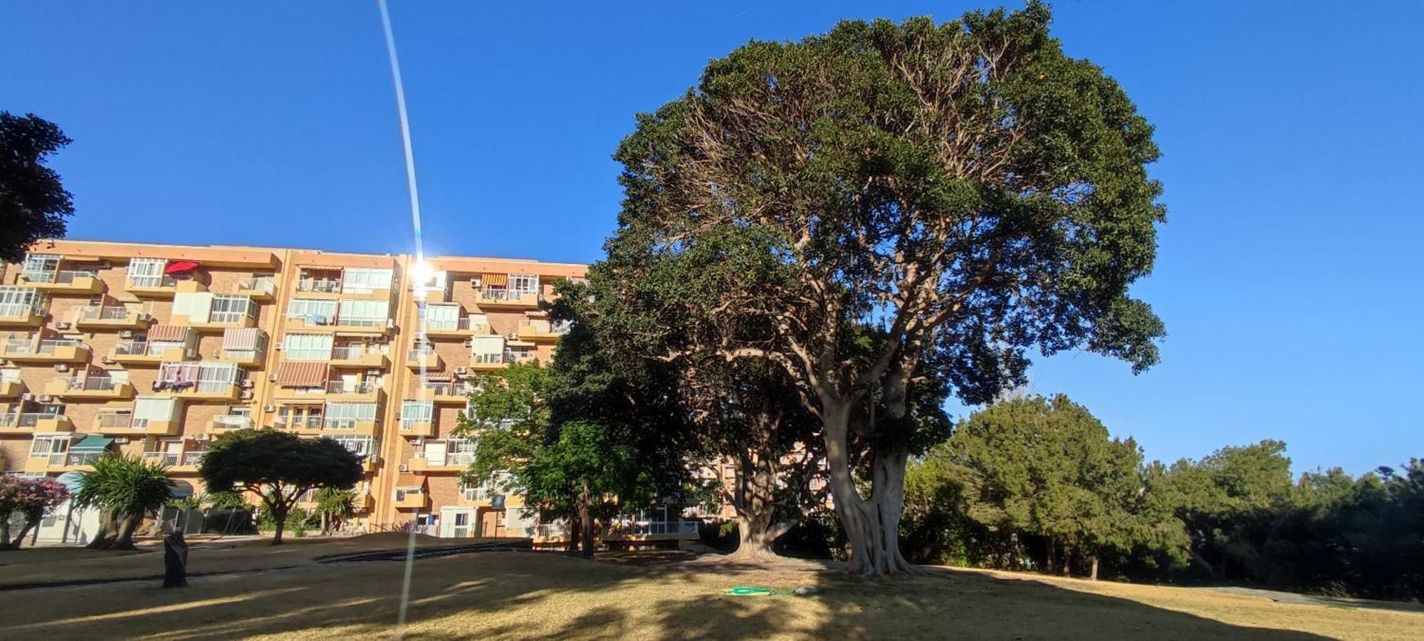 Aguila, Arroyo De La Miel, Appartement *